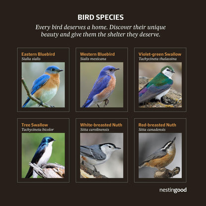 Nestingood Premium Wooden Bird House Kit – DIY Bluebird Nesting Box with 1.5 Inch Entrance, Outdoor Birdhouse Kits for Adults and Kids, Nature Craft for Garden, Backyard or Patio Projects