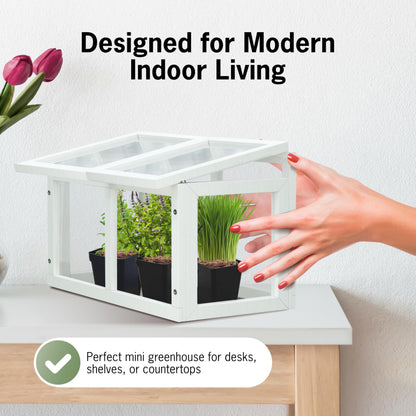 Mini Tabletop Greenhouse 12"x8" – Compact Indoor Plant House with Clear Acrylic Panels & Wood Frame with 4" Pots for Herbs, Seedlings, Cuttings & Propagation - Cat Safe