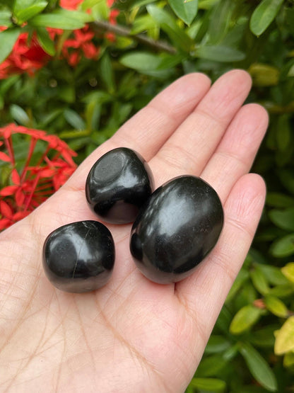 GAF TREASURES 5 Pcs Jet Tumbled Stones, Polished Jet Gemstone, Jet Healing Crystals (Jet)