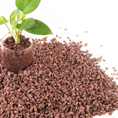 7LB Red Lava Rocks for Plants, Volcanic Rock Horticultural Lava Rock Soil for Landscaping Plants Drainage, Small Lava Rock Gravel for Succulents, Bonsai, Vase Fillers, Terrarium Plants, Top Dressing