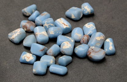 Jet Unique Authentic ANGELITE Tumbled Stone Approx 075 to 1 inch Long Gemstone Healing Chakra Balancing Power Gift (3 Piece)