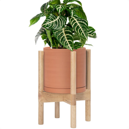 D'vine Dev Terracotta Planter with Natural Stand - 8 Inch Modern Round Flower Pot with Wood Planter Holder, Terracotta, 55-B-N-5