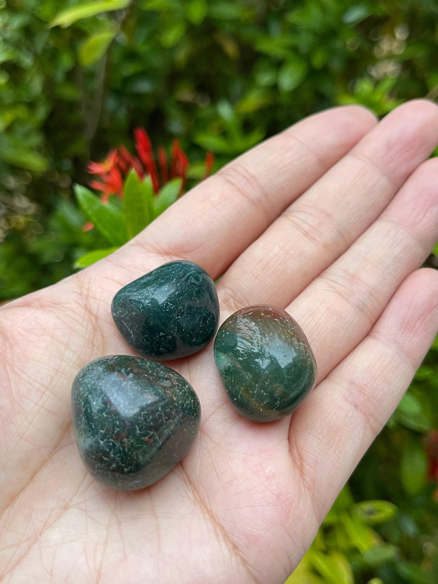 GAF TREASURES 5 Pcs African Bloodstone Tumbled Stones, Polished African Bloodstone Gemstone, African Bloodstone Healing Crystals (African Bloodstone)
