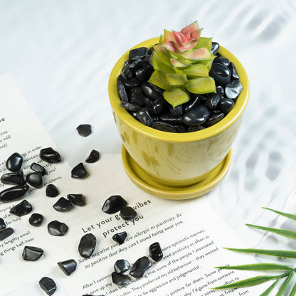 Crocon Polished Black Tourmaline Chips Bulk Natural Stone Raw Gemstone Tumbling Cabbing Polishing Gem Mining Chakra Balancing Reiki and Crystal Healing Good Luck Home Office Décor (1/2 LB)