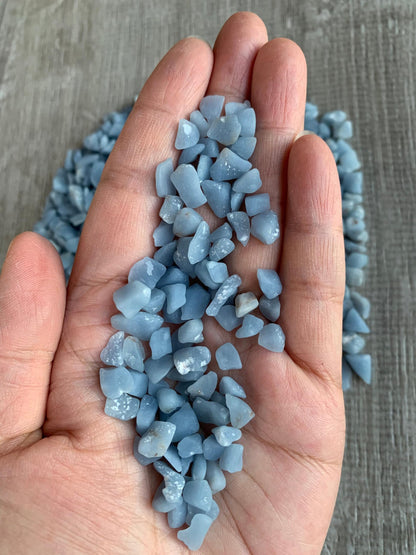 WHOLESALE Natural Semi Tumbled Angelite Gemstone Chips, Crushed Mini Crystals, Undrilled Crystal Chips (Angelite, 0.5 Pound)