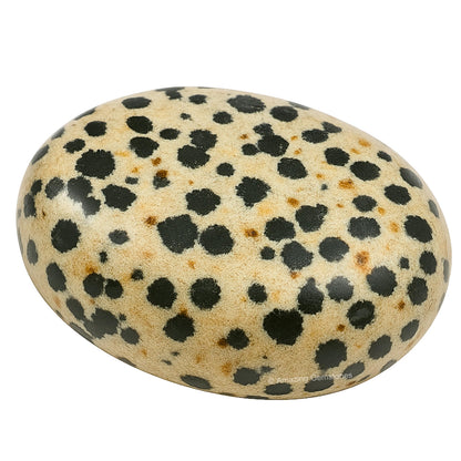 Amazing Gemstone Dalmatian Jasper Crystals and Healing Stones - Large Palm Stone Crystals Piedra - Crystal for Good Luck, Positive Energy, Meditation - Unique Stocking Stuffers Gifts for Women, Men