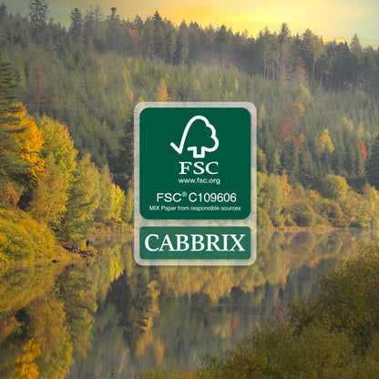 Cabbrix Desk Calendar 2026 with Desktop Mat, Floral Desk Pad Calendar 15 x 12 Inch 18 Months Runs From January 2026 to June 2027, Desk Blotter Calendar for Home School and Office (Floral)