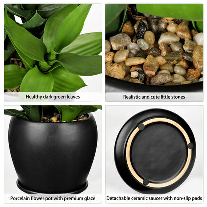 17.7" Tall Artificial Bamboo Plants Indoor Fake Plant in Black Ceramic Pot, Faux Potted Plant Silk Plants for Home Decor Indoor, Desk, Shelf, Tabletop, Office, Living Room, Entryway, Bathroom Decor