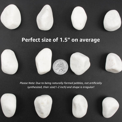 LOOIOOJ 10lbs White River Rocks, Polished Pebbles for Plants, Garden, 1-2 Inch Decorative Stones, Ideal for Fish Tanks, Vases, Crafting, and Landscaping (Weight : 10 LB, Pure White)