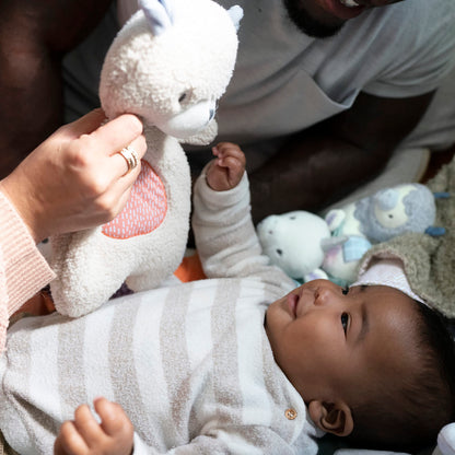 Ingenuity Premium Soft Mini Bean Bag Plush, Nate The Teddy Bear, Ages Newborn and up.