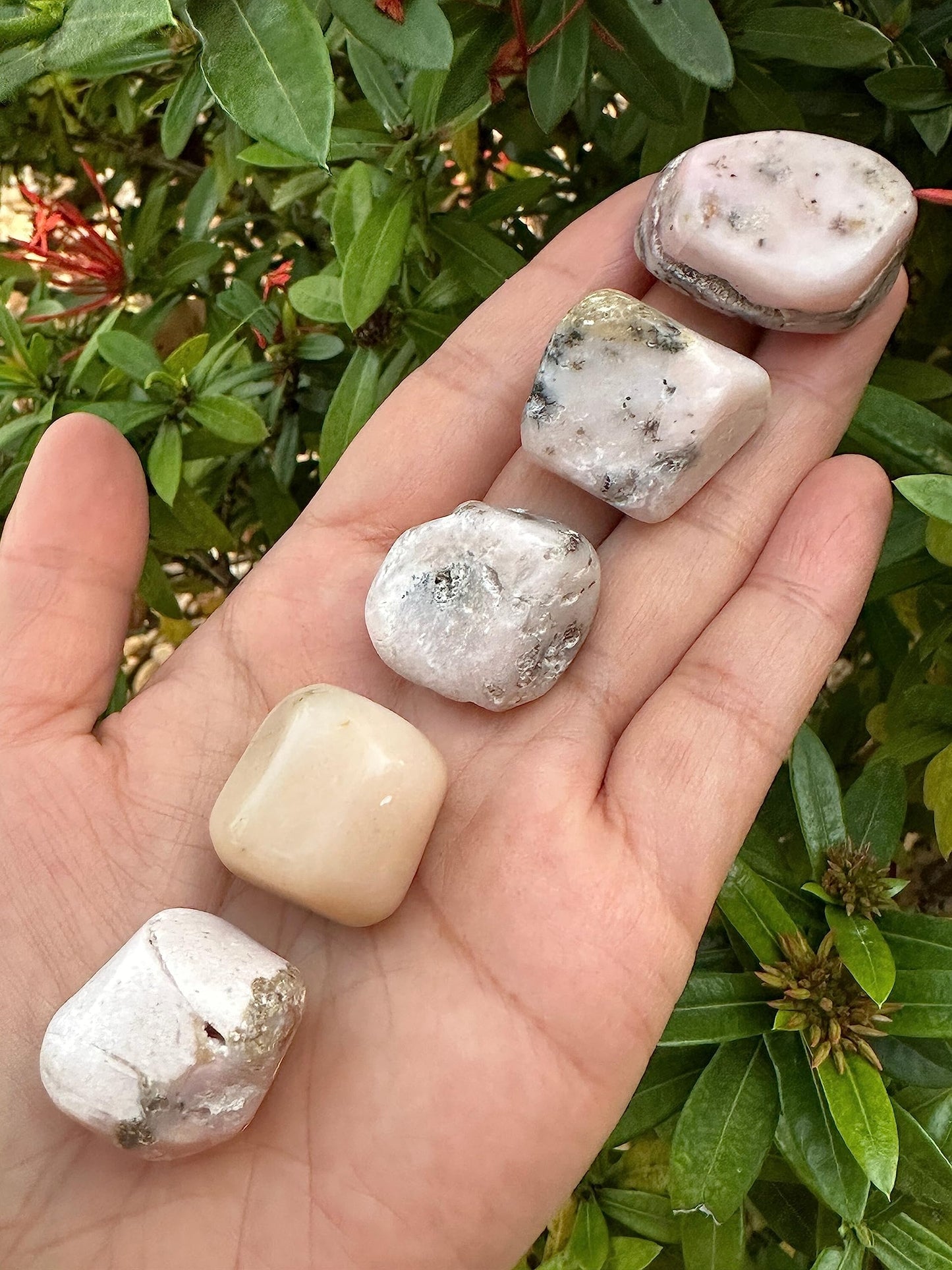 GAF TREASURES 5 Pcs Pink Opal Tumbled Stones, Polished Pink Opal Gemstone, Pink Opal Healing Crystals (Pink Opal)