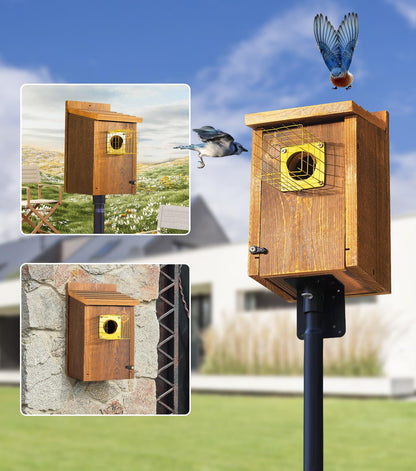 2pk Fortress Bluebird House for Outdoor Clearance - Metal Entry Cage, Mesh Base & Brass Guard - Cedar Bird House for Bluebirds, Finches, Patented Design, Weatherable 5 Years Usage, 6"x7", 2026 Updated