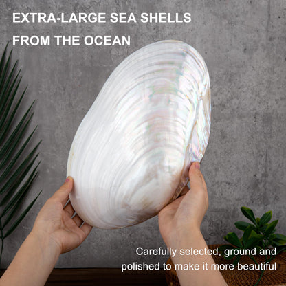 QEQEKAKA 11" Natural Seashell Decorative Bowl (Note: A base is required.) Extra Large Polishing Clam Shell Bowl for Crafts & Coastal Nautical Home,Beach Party Wedding Shell Home Decor
