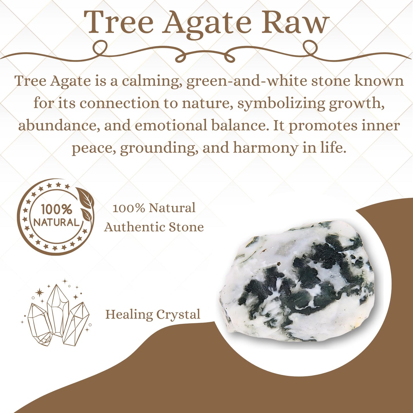 ANAYA AGATE Tree Agate 2 Pcs Raw Crystals Rough Gemstones w/Authenticity Card, Velvet Pouch - Large 1.25–2.0" Raw Stones for Tumbling, Cabbing, Polishing, Cutting Natural Healing Crystals for Home Decor, DIY Stones