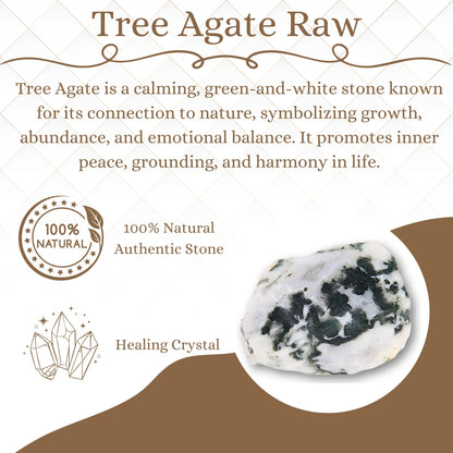 ANAYA AGATE Tree Agate 2 Pcs Raw Crystals Rough Gemstones w/Authenticity Card, Velvet Pouch - Large 1.25–2.0" Raw Stones for Tumbling, Cabbing, Polishing, Cutting Natural Healing Crystals for Home Decor, DIY Stones