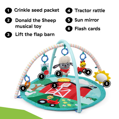 Baby Einstein Ingenuity Farm Explorers Happy Harvest Touch & Feel Baby Play Gym & Mat with 5 Removable Toys, 20+ Songs & Sounds, Ages 0+ Months