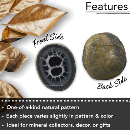 Amazing Gemstone Septarian Nodule Crystals and Healing Stones Mineral Specimen - Premium Semi Precious Gem Stones for Spiritual Growth - Healing Crystals Geode Clusters for Meditation