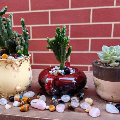 Sisamn Natural Vase Filler Tumbled Stones Bulk Polished Crystal Points Decorative Pebbles 0.9lb -Tumbled Gemstones for Home Decor, Fish Turtle Tank, Plants Decor, Jewelry Making, Reiki Healing
