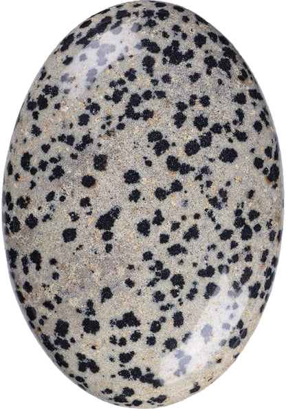 UFEEL Dalmatian Jasper Palm Stone Crystal Natural Chakra Therapy Polished Healing Crystal Oval Pocket Gemstone for Anxiety Stress Relief