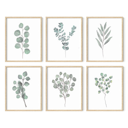 HAUS AND HUES Leaf Prints Botanical Wall Art Set of 6 Nature Art Prints & Eucalyptus Leaves Wall Decor | Botanical Prints Eucalyptus Wall Art Plant Decor | Unframed, 8" x 10"
