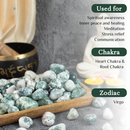 Crocon 1lb Tree Agate Tumble Stones Stones Set Pocket Crystal Healing Gemstones Balancing Tumble Collection Palm Stone Meditation Good Luck Charm Gift Craft Home Decor Size: 20-25 mm 1 LB