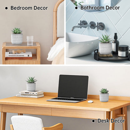 Der Rose Set of 2 Succulents Plants Artificial Fake Cactus Plants for Living Room Bathroom Bedroom Aesthetic Home Shelf Decor