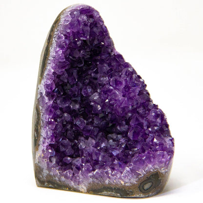 Extreme Rocks & Fossils Natural Amethyst Cluster with Polished Edges [1.5 to 2 lb.] Real Raw Geode Healing Crystal Rock from Uruguay, Deep Purple Decor and a Free Velvet Pouch of Rose Quartz