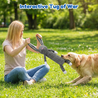 No Stuffing squeaky Dog Toys for large dogs,5pack plush Crinkle chew Dog Toys to Keep Them Busy,Durable Cute Animals Puppy Teething toys for Small Medium Large Breed, dog Gifts & Tug of War Toys