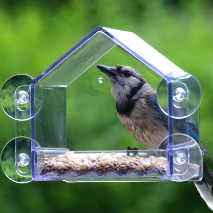 Nature’s Way Crystal Window Seed Feeder with 4 Secure Suction Cup Mount, Clear 2-Cup Capacity Hanging Bird Feeder for Close-Up Viewing, 6.5"