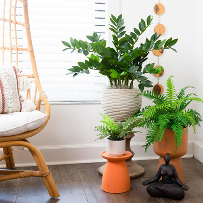Nearly Natural 28in. Artificial Zamioculcas Plant with Decorative Planter