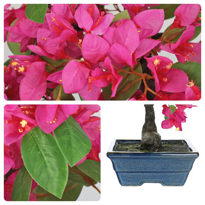 Briful Artificial Bougainvillea Tree in Blue Pot 18.5" Tall Faux Bougainvillea Floral Tree Tropical Silk Fake Flower Plant for Home Office Living Room Table Décor(Pink)