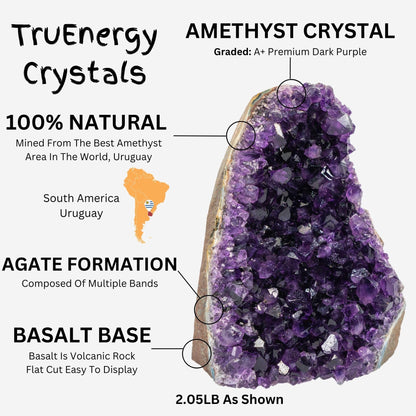 TRUENERGY Natural Amethyst Cluster Quartz Crystal – 1.5 To 2.0 lbs Grade A+ Raw Dark Purple Geode Stone from Uruguay – Home Decoration, Meditation Healing, and Positive Energy (1.5-2 lbs)
