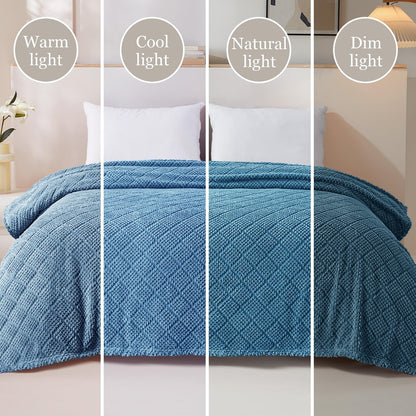 Whale Flotilla Fuzzy Fleece Throw Blanket for Couch, Bed, Soft Fluffy Jacquard Waffle Blankets for All Season, Lightweight and Warm, 50x60 Inch, Slate Blue