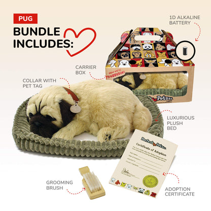 Perfect Petzzz Original Petzzz Huggable Pug Puppy, Realistic, Lifelike Stuffed Interactive Pet Toy, Companion Pet Dog with 100% Handcrafted Synthetic Fur