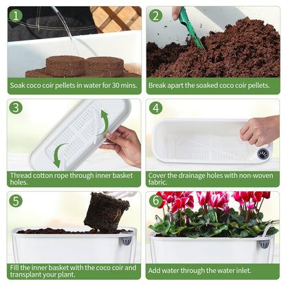 Oliz Self Watering Planter with Coco Coir Pellets, 11.8 Inch Plastic Rectangular Windowsill Plant Pot with Drainage Holes, High Clear Modern Decorative Flower Pot for Indoor Plants, African Violets