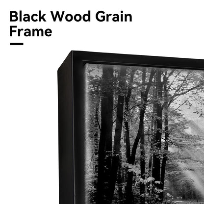 Black White Forest Wall Art - Sunset Landscape Framed Canvas Picture Woodland Painting Nature Tree Scenery Artwork Prints for Bedroom Living Room