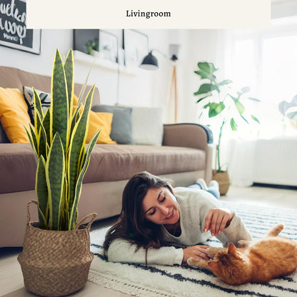 KOL 2ft Artificial Snake Plant, 32 Lifelike Faux PVC Leaves, Indoor Home Garden Decor, Fake Sansevieria Potted Plants, Mother-in-Law Tongue, 25.6in Floor Greenery in Black Pot