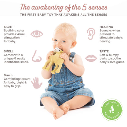 Sophie la girafe Al'Thir The Camel | Teether Friend to Sophie la girafe | Natural Rubber | Designed for Teething Babies | Awaken All 5 Senses | Easy to Clean