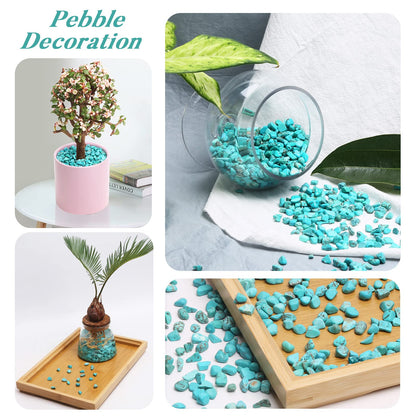 QICQDRAM Howlite Turquoise Small Tumbled Chips 0.9 Lb/405g Crystal Stone Decorative Pebbles for Home Decoration & Fish Turtle Tank, Vase Filler, Plants Decor