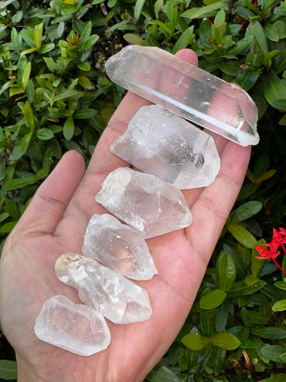 GAF TREASURES Wholesale Raw Clear Quartz Points, Natural Clear Quartz Points, Clear Quartz Points Healing Crystals (1 Pound)