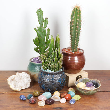 Cherry Tree Collection 1/2 Pound Polished Stones - 1/2" - 1" Size Tumbled Stones - Tumbled Crystals Bulk for Healing, Reiki, Chakra (Green Aventurine)