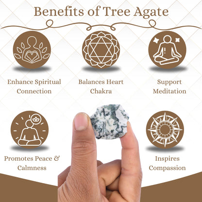 ANAYA AGATE Tree Agate 2 Pcs Raw Crystals Rough Gemstones w/Authenticity Card, Velvet Pouch - Large 1.25–2.0" Raw Stones for Tumbling, Cabbing, Polishing, Cutting Natural Healing Crystals for Home Decor, DIY Stones