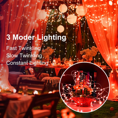 24Pack Fairy Lights Battery Operated, 7ft 20 LED 3 Modes Speed Twinkle Mini String Lights Waterproof Silver Wire Firefly Starry Lights for Mason Jars Wedding Party Christmas Decorations