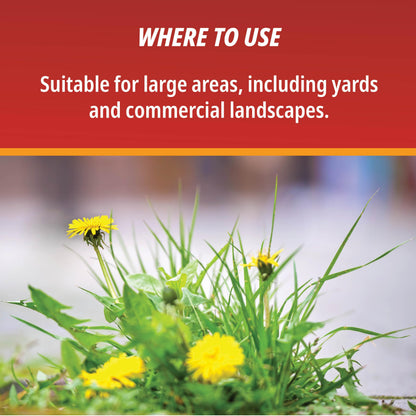 Control Solutions Inc. 82004319 Eraser Weed & Grass Killer Concentrate, 1_Gallon, 128 oz