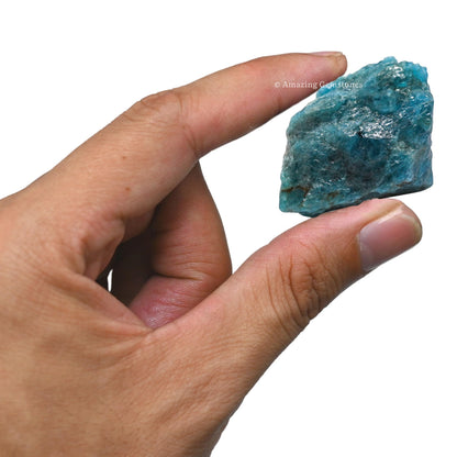 Amazing Gemstone Green Apatite Raw Crystals and Healing Stones, Natural Rocks For Tumbling - DIY Raw Stones And Crystals (1 Piece)