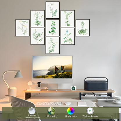 LANCHI95 botanical wall art - Minimalist Aesthetic Rose Collection, Bedroom Wall Art, Sage Green Eucalyptus Leaf Prints for Office (9pcs- 8x10in- UNFRAMED) (Botanical)