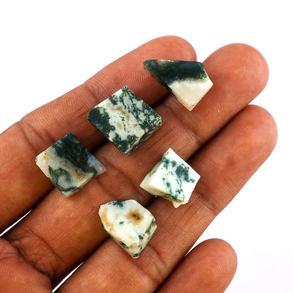 CRYSTALINES 5pcs AAA Grade Wholesale Natural Raw Moss Agate Gemstone, Untreated Rough Stone, Bulk Loose Supplies, DIY Jewelry Making, Chakra Healing Crystals, Birthstone, Gem Collection