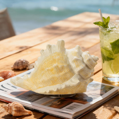 Mr.Winder Conch Shell Music Box Plays You are My Sunshine, Ocean Theme Gift for Wife Husband Daughter Grandma Sister Gifts for Birthday Anniversary Christmas Musical Box