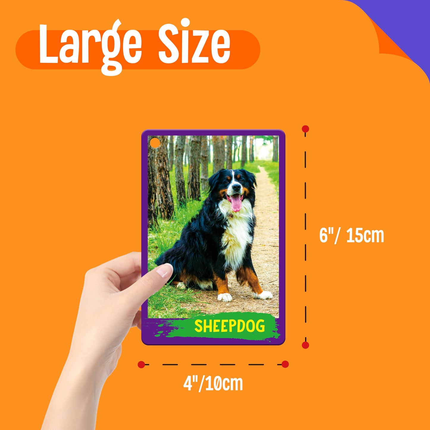 My First 120 Animals, 60PCS Realistic Zoo Animal Cards Farm/Wild/Marine Animals/Insects/Birds Flashcards Montessori & Science Educational Toys Preschool Learning for Homeschool Preschool Toddler Kids