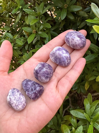 GAF TREASURES 5 Pcs Lepidolite Tumbled Stones, Polished Lepidolite Gemstone, Lepidolite Healing Crystals (Lepidolite)